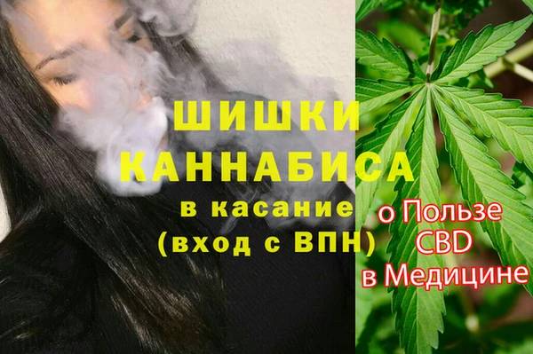 амф Новодвинск