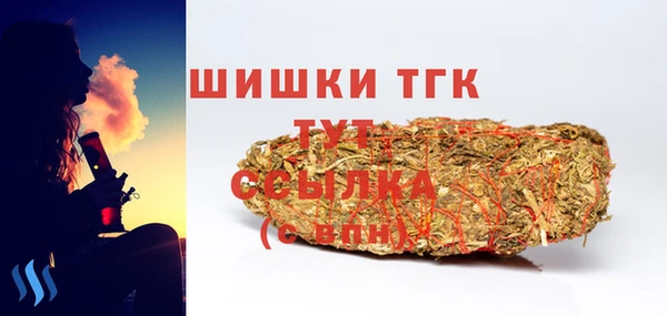 амф Новодвинск