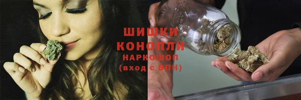 амф Новодвинск