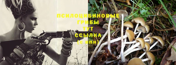 скорость Новокубанск