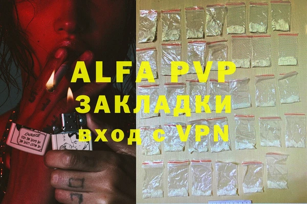 амф Новодвинск