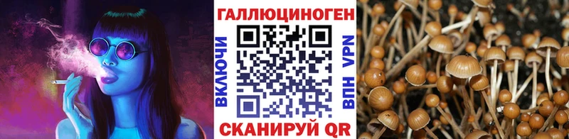 shop Telegram  Семикаракорск  Псилоцибиновые грибы мицелий  hydra ссылка 